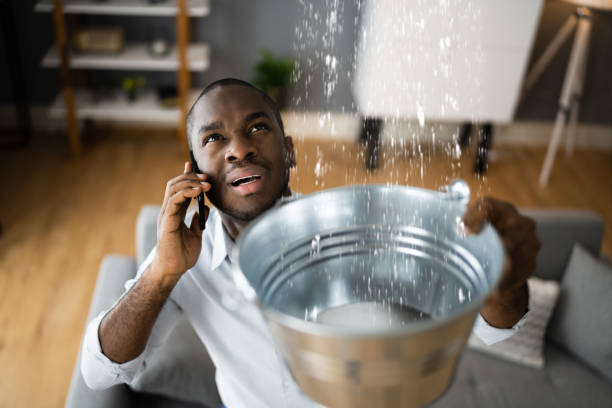Best Residential water damage restoration  in Hansen, ID