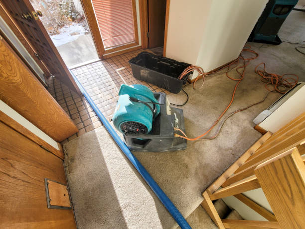 Best Water damage restoration near me  in Hansen, ID