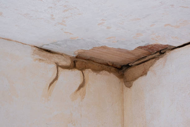 Best Water damage restoration services  in Hansen, ID