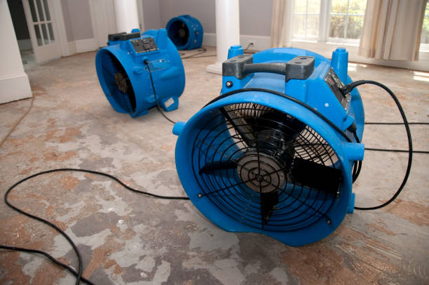 Best Flood damage cleanup  in Hansen, ID