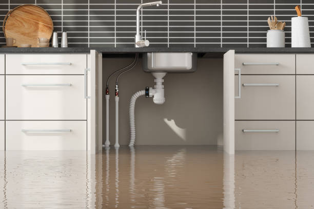 , ID Water damage restoration Company