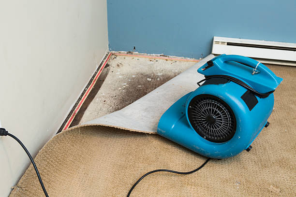 Best Sewage cleanup and water damage restoration  in Hansen, ID